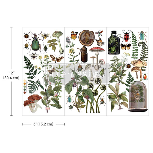 Small Transfers – Botanical Archives Redesign with Prima